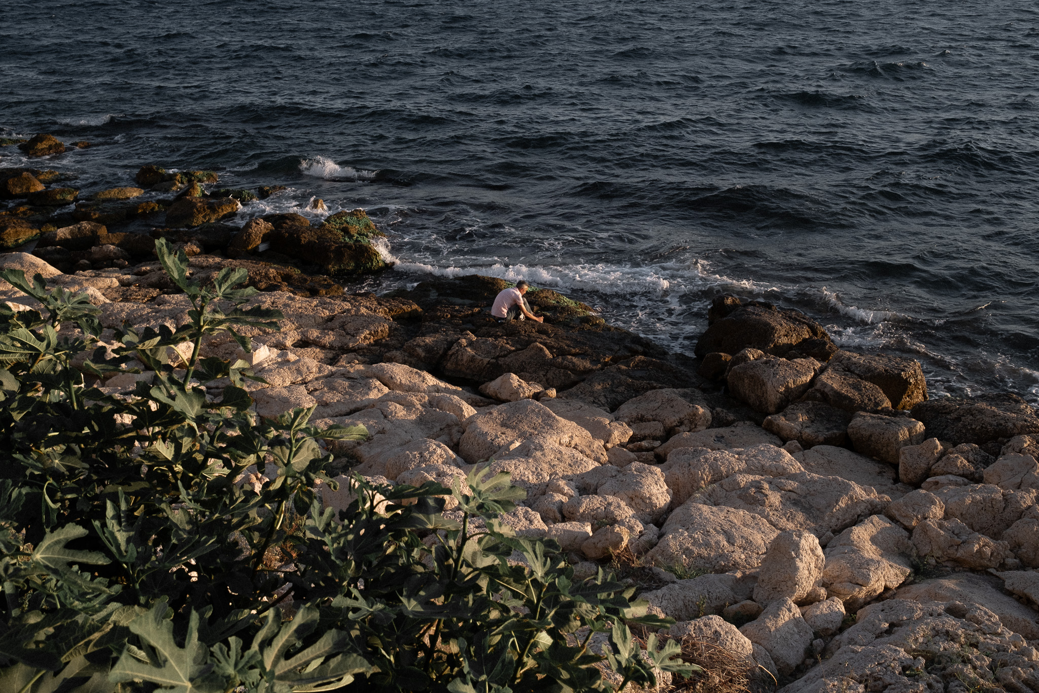 Image 13